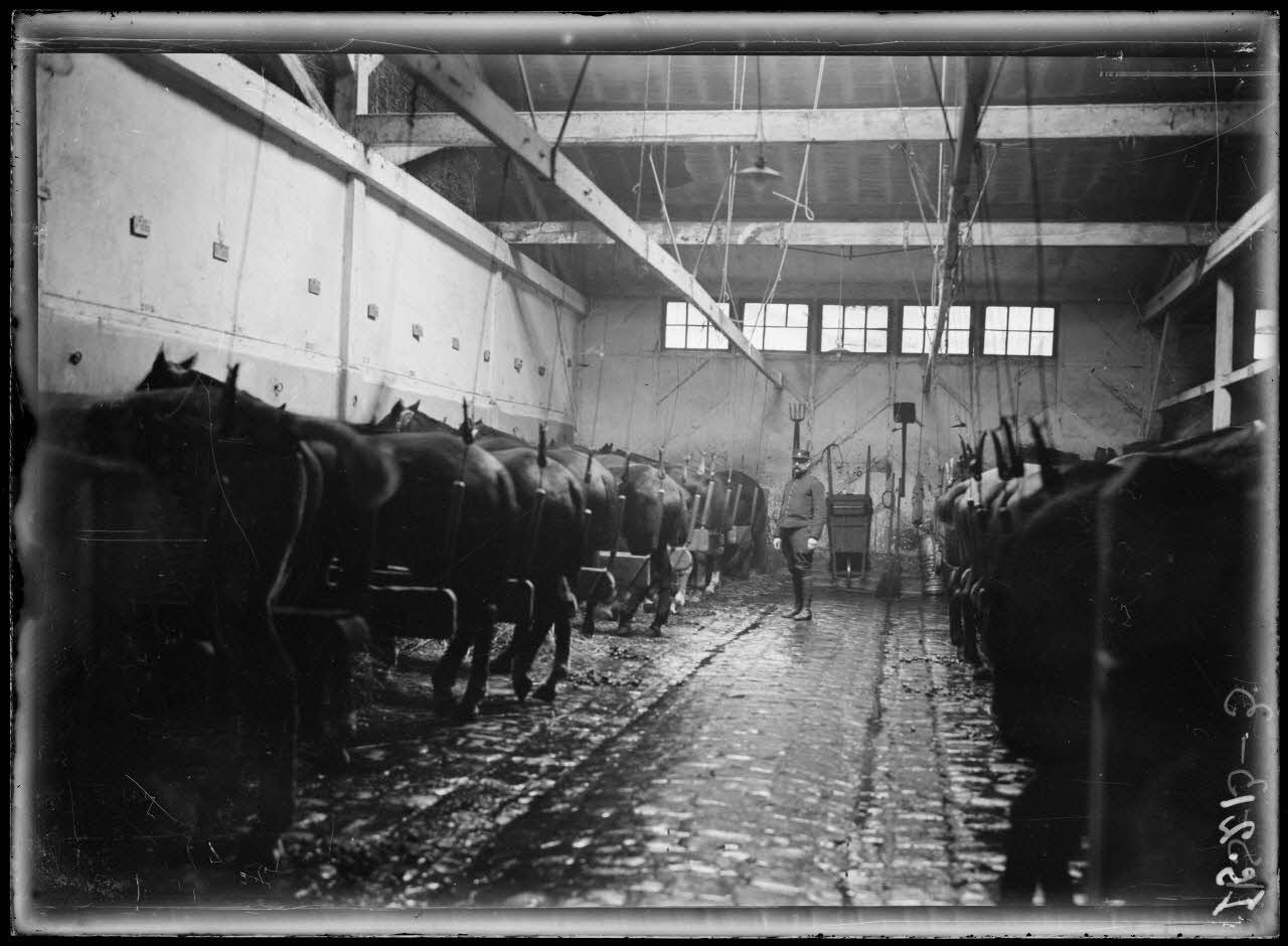 Garches, Seine-et-Oise, Institut Pasteur. Service de sérothérapie. Une des écuries. [légende d'origine]