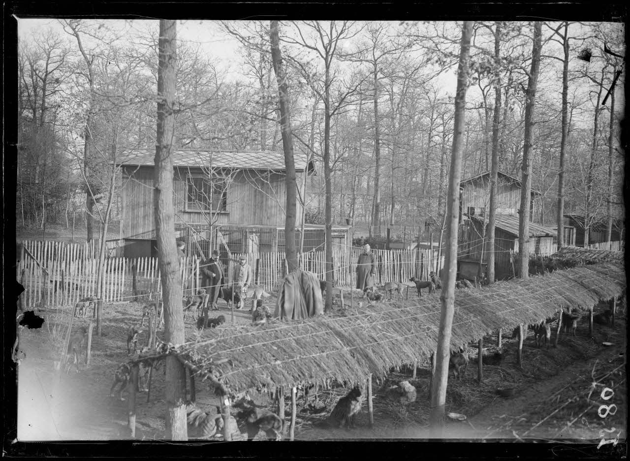 Maison-Lafitte, la société nationale du chien sanitaire et de guerre. Une partie des chenils. [légende d'origine]