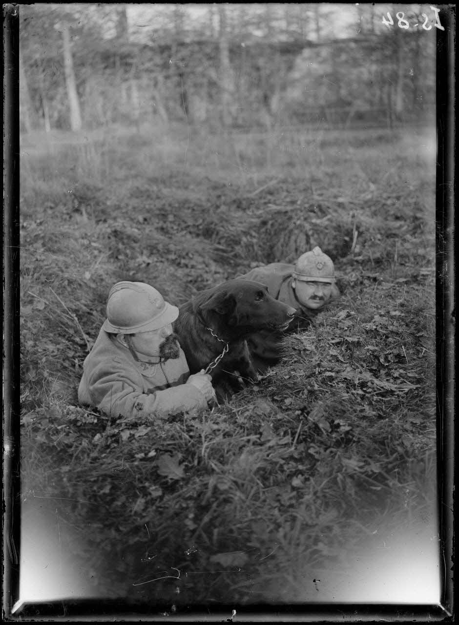 Maison-Lafitte, la société nationale du chien sanitaire et de guerre. Le chien de tranchée au poste d'écoute. [légende d'origine]