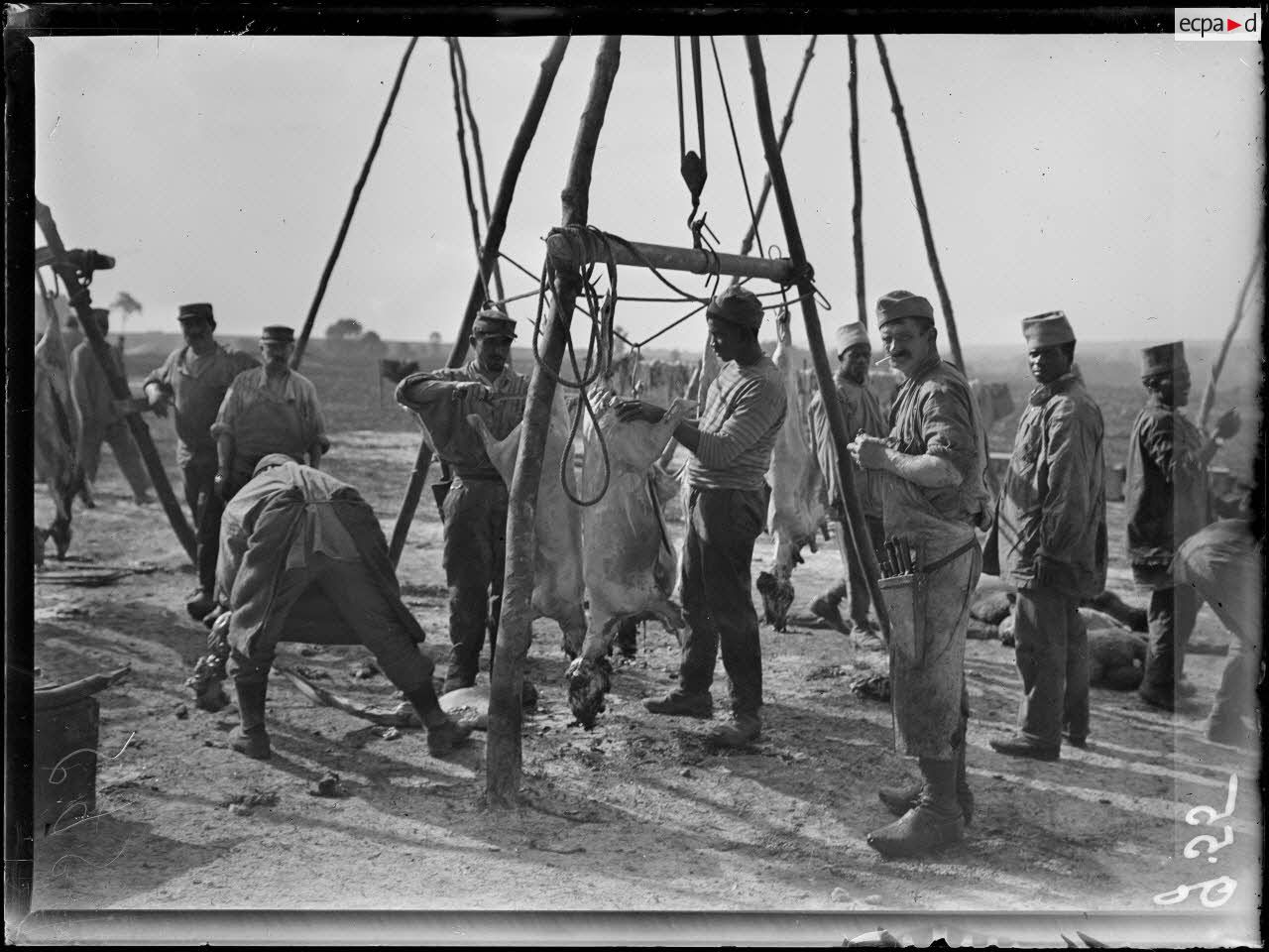 Près de Mézières, Somme, boucherie des troupes coloniales et sénéglaises. L'abbatage. [légende d'origine]