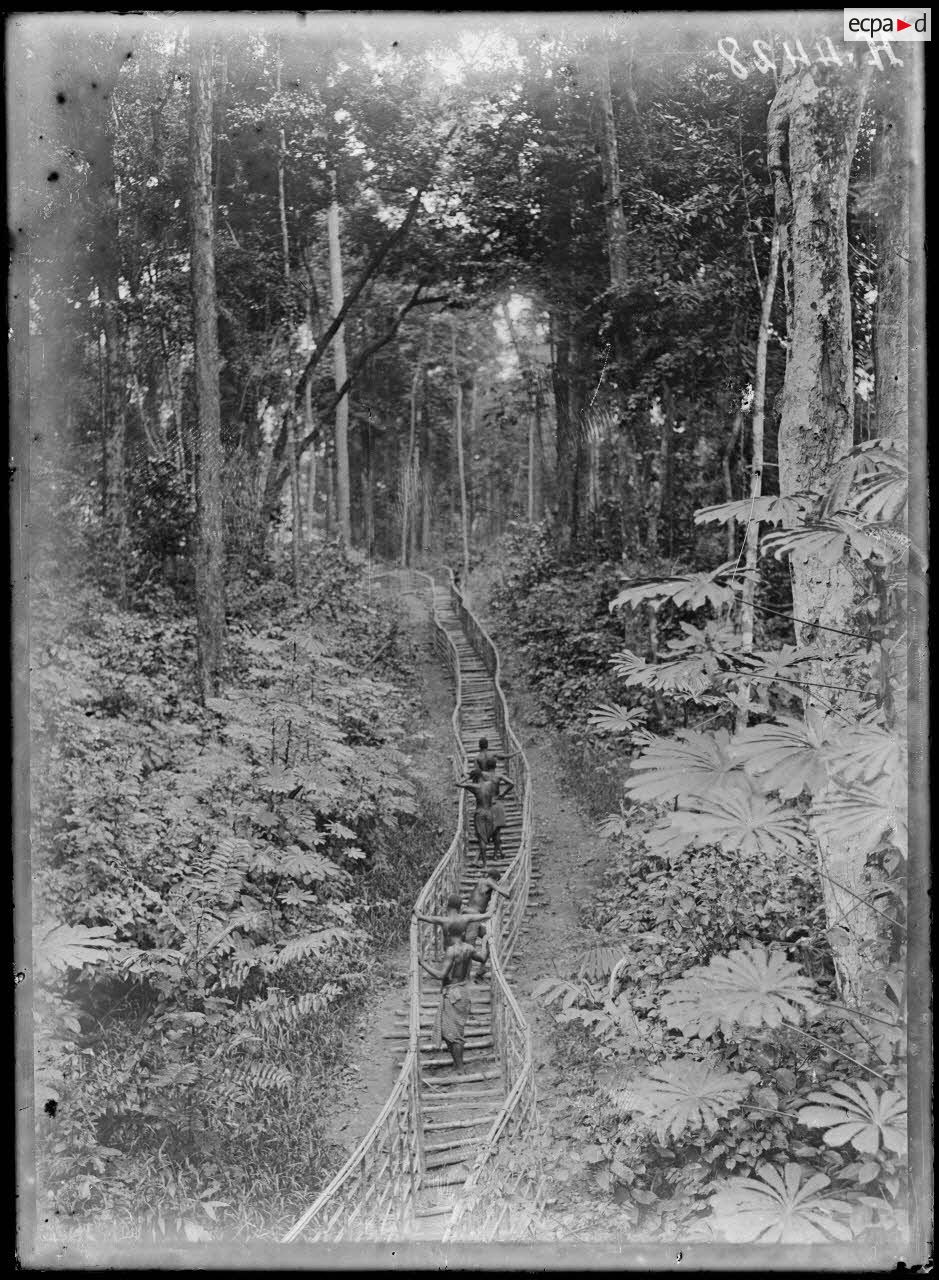 Chemin de fer du centre. Chemin de rondinage menant à la tombe du sous-lieutenant Molières, tué le 16 décembre 1915. [légende d'origine]