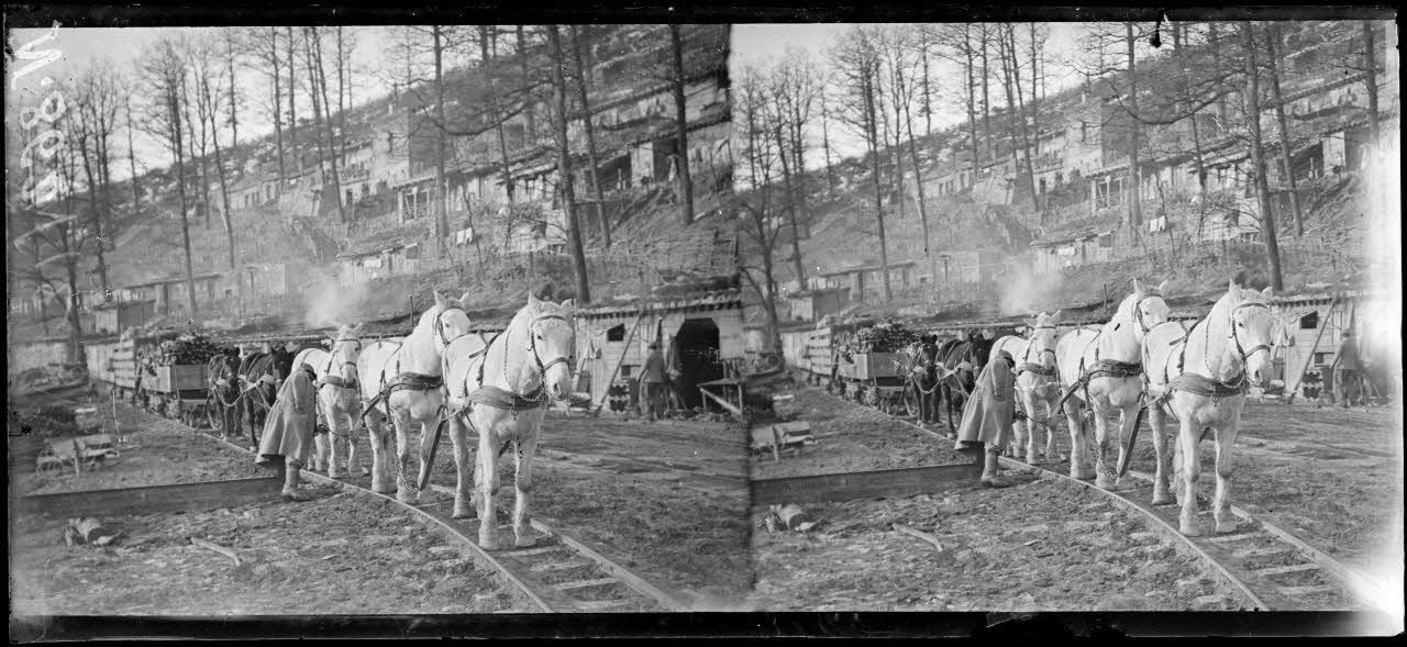 Près de La Harazée (Marne). sous-secteur Condé. Abris. [légende d'origine]