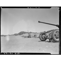 Simulation d'entrainement au tir au canon antiaérien en milieu désertique.