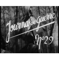 Journal de guerre n°29.