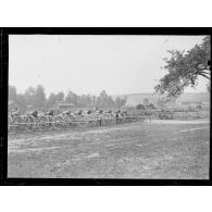 La Neuville (Somme). Parc de réparation et de formation du GAN. Les canons de 220 pour nouvelles formations. [légende d'origine]