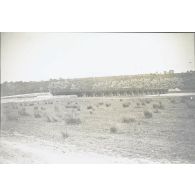 [Pont de chemin de fer en bois - estacade, s. d.]