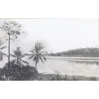 [Paysage des rives du fleuve Congo.]