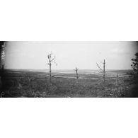 Bois en fer de lance, région de Beauséjour, vue prise du calvaire de Beauséjour. [légende d’origine]