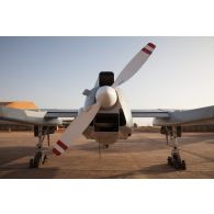 Vue arrière d'un système intérimaire de drone MALE (SIDM) de l'escadron de drones 1/33 Belfort sur la base aérienne de Niamey, au Niger.