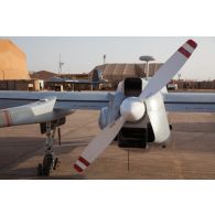 Vue arrière d'un système intérimaire de drone MALE (SIDM) et d'un drone General Atomics MQ-9 Reaper de l'escadron de drones 1/33 Belfort sur la base aérienne de Niamey, au Niger.