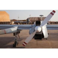 Vue arrière d'un système intérimaire de drone MALE (SIDM) et d'un drone General Atomics MQ-9 Reaper de l'escadron de drones 1/33 Belfort sur la base aérienne de Niamey, au Niger.