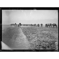 Plaine de Monastir. Relève de la 17e division coloniale remplacée dans le secteur de la cote 1050 par la 35e division italienne. [légende d'origine]