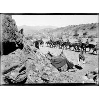 Infanterie montée sur des mulets. [légende d'origine]