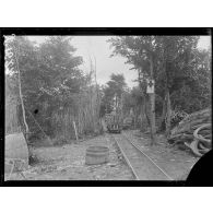 Forêt des Koeurs (Meuse). Terminus de la voie étroite. [légende d'origine]