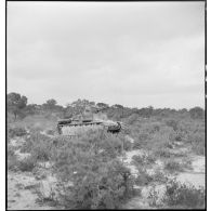 La campagne de Tunisie : activités de troupes françaises sur le front tunisien en avril 1943.