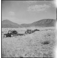 Scout-cars M3A1 du 3e RSAR déployés lors d'une manoeuvre dans la région de Batna.