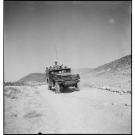 Scout-car M3A1 du 3e RSAR en patrouille de reconnaissance lors d'une manoeuvre dans la région de Batna.