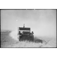 Un scout-car M3 pendant une manoeuvre d'unités du CEF (corps expéditionnaire français) avant l'engagement sur le front italien.