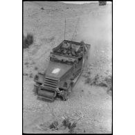 Progression d'un scout-car M3 au cours d'une manoeuvre du CEF (corps expéditionnaire français) en Algérie.