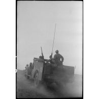 Progression d'un scout-car M3 au cours d'une manoeuvre du CEF (corps expéditionnaire français) en Algérie.