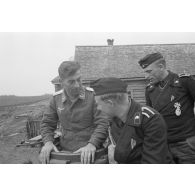 Rencontre entre des artilleurs de la Luftwaffe du Leichte Flak Abteilung 71 et un équipage de Panzer-III de la 5.Panzer-Division.