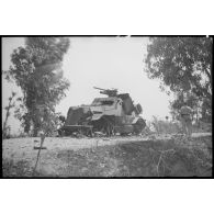 La carcasse d'un scout car Marmon-Herrington MK II, équipé d'un canon antichar de 47 mm, issu du 5th Reconnaissance regiment britannique (Reconnaissance corps).