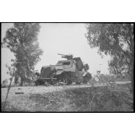 La carcasse d'un scout car Marmon-Herrington MK II, équipé d'un canon antichar de 47 mm, issu du 5th Reconnaissance regiment britannique (Reconnaissance corps).