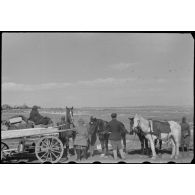 Sur la route entre Wjasma (Viazma) et Smolensk, durant l'opération Büffelbewegung, un combat aérien stoppe la retraite du convoi hippomobile allemand.