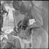 Un éclaireur-skieur place des munitions dans les sacoches dorsales d'un chien estafette.