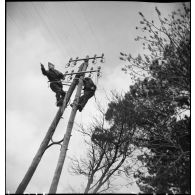 Des soldats de la 2e armée installent des câbles téléphoniques.