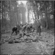 Dans un bois des sapeurs du génie de la 3e armée travaillent à la construction d'une voie carrossable.