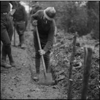 Dans un bois des sapeurs du génie de la 3e armée travaillent à la construction d'une voie carrossable.