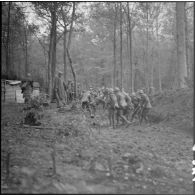 Dans un bois des sapeurs du génie de la 3e armée travaillent à la construction d'une voie carrossable et à l'édification de fortifications de campagne.