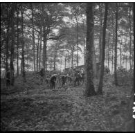 Dans un bois des sapeurs du génie de la 3e armée travaillent à la construction d'une voie carrossable et à l'édification de fortifications de campagne.