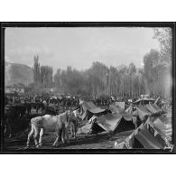 (Kladerop). Parc d'artillerie. 18 octobre 1916. [légende d'origine]