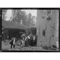 (Klabucista). Battage du maïs. [légende d'origine]