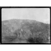 Route de Livadi. Arabas dans la montagne. [légende d'origine]