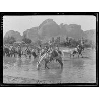 Kalabaka (Thessalie). Chevaux des spahis marocains à l'abreuvoir. (Juin 1917). [légende d'origine]