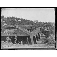 Aucune légende : reproductions photographiques d'un cinéma autrichien et d'une plaque d'identité de soldat allemand ou autrichien.