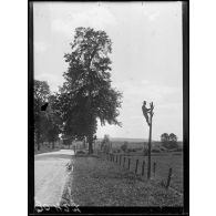 Gondrecourt, armée américaine, pose d'une ligne télégraphique. [légende d'origine]