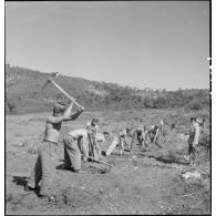 Travaux de défrichement.