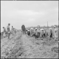 Travaux de refection de la route reliant Haiduong à Cui Loc par des travailleurs vietnamiens sous la surveillance de soldats franco-vietnamiens.