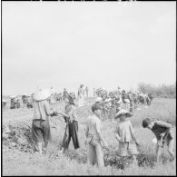 Travaux de refection de la route reliant Haiduong à Cui Loc par des travailleurs vietnamiens sous la surveillance de soldats franco-vietnamiens.