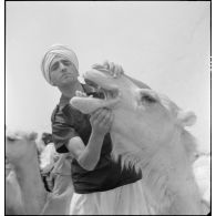 Une unité coloniale d'Agadès ou Agadez, accompagnée d'un groupe nomade, s'installe près d'un nouveau patûrage ; un capitaine effectue la visite sanitaire des dromadaires.