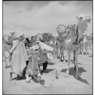 Une population indigène nomade ravitaille en carburant et en munitions le terrain d'aviation de Zinder (Niger).