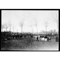 Plan général des troupes polonaises qui défilent sur une route.