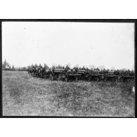 Plan général des troupes polonaises alignées lors de la cérémonie militaire, les soldats sont photographiés de dos