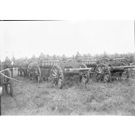 Plan général des troupes polonaises alignées lors de la cérémonie militaire, les soldats sont photographiés de dos