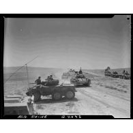 Light armored car M8 et chars M24 Chaffee lors d'un exercice dans la région de Tebessa.