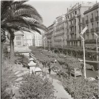 Archives photographiques de Claude Vignal (1928-2015). Pochette intitulée "Algérie. Nb 115".